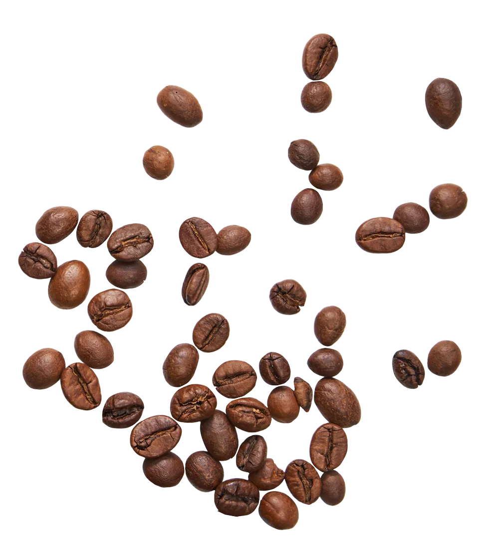Arabica Coffee